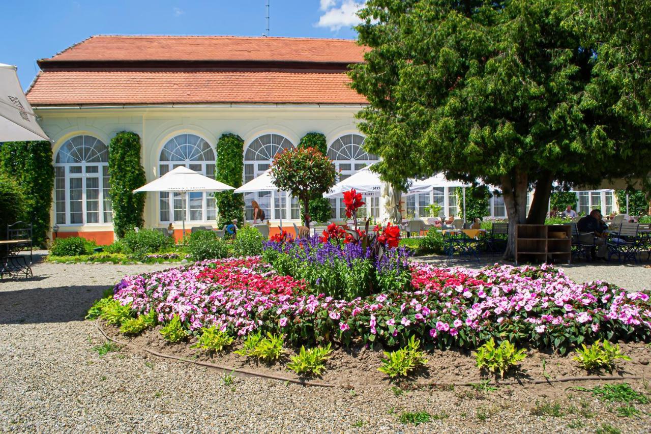 Vila Rozalia Garden Gate Avrig Exterior photo